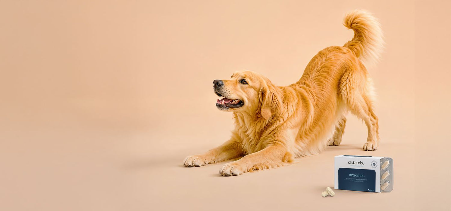 dr.bimix - Snacks naturales y suplementos funcionales para perros