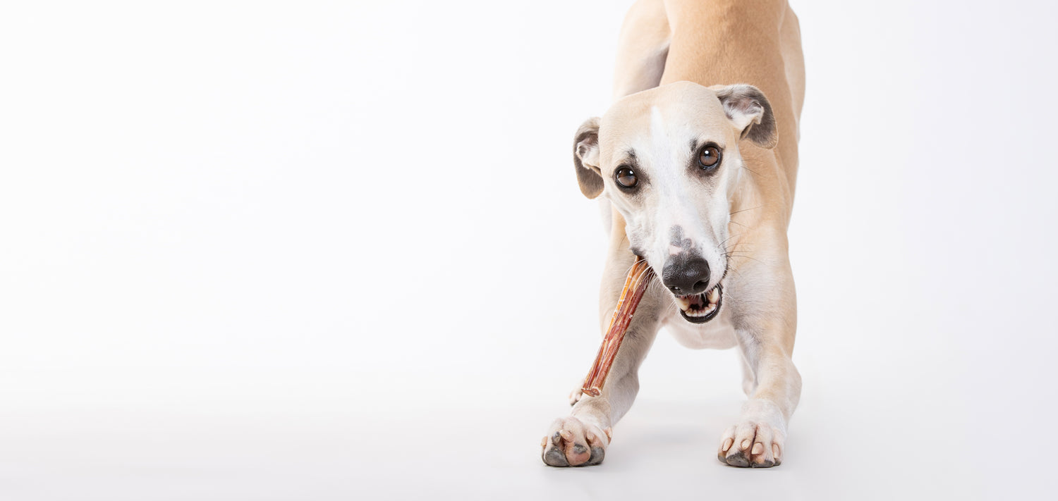 dr.bimix - Snacks naturales y suplementos funcionales para perros