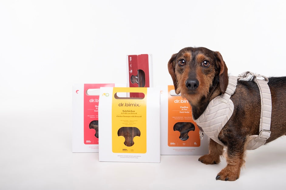 Cómo elegir snacks naturales para perros