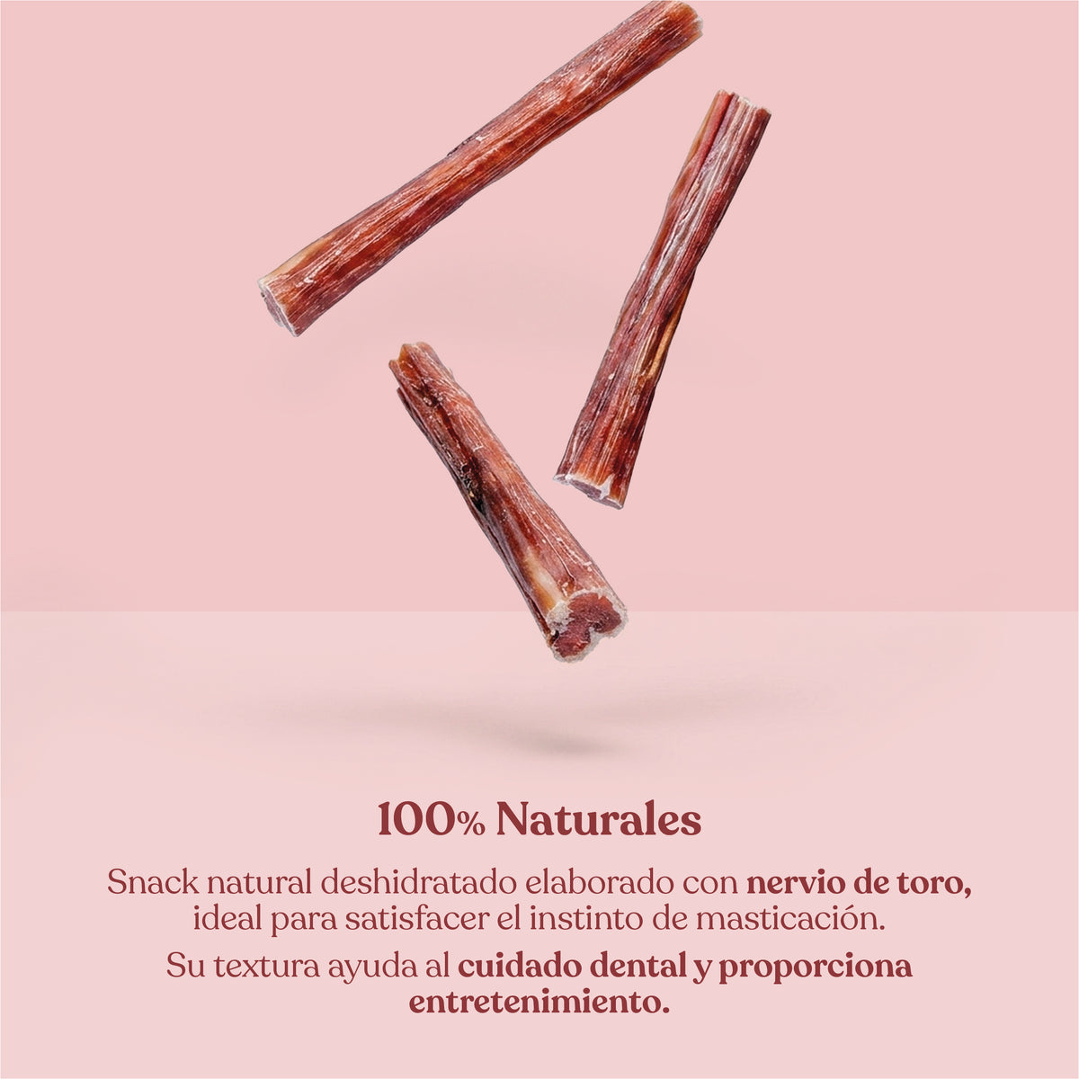 Pack Dientes sanos - Perros grandes