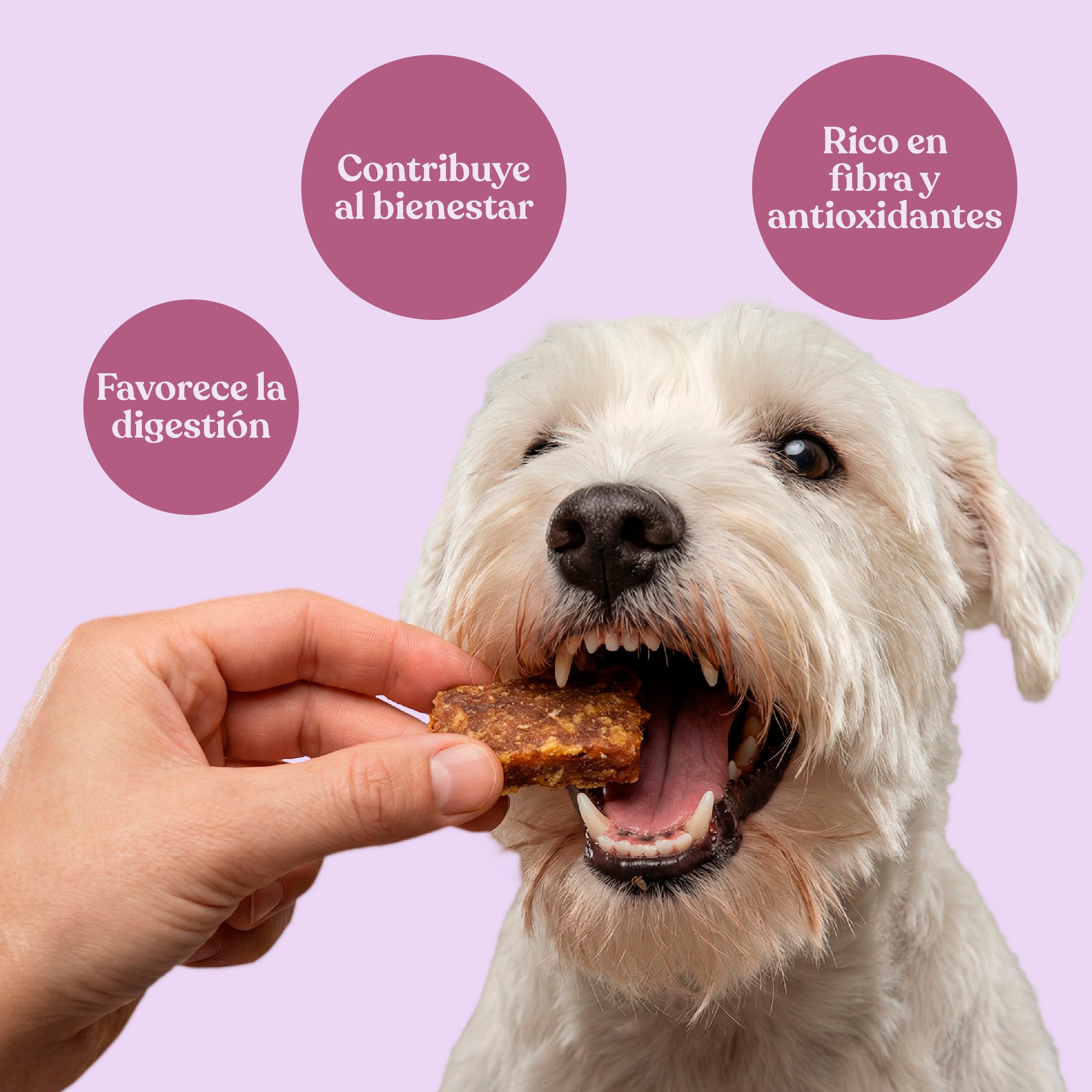 Nuggets de pavo con remolacha