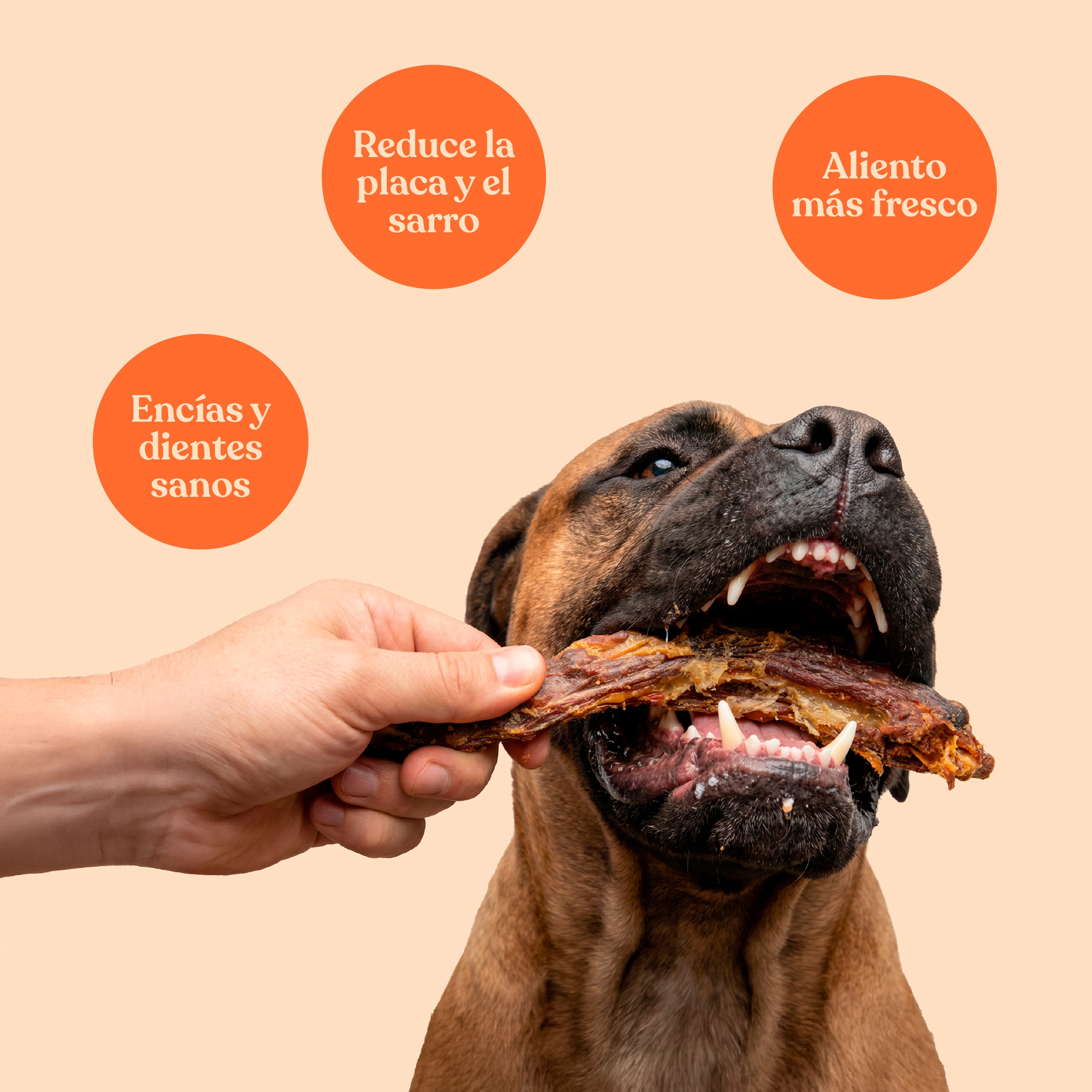 Cuellos de pato