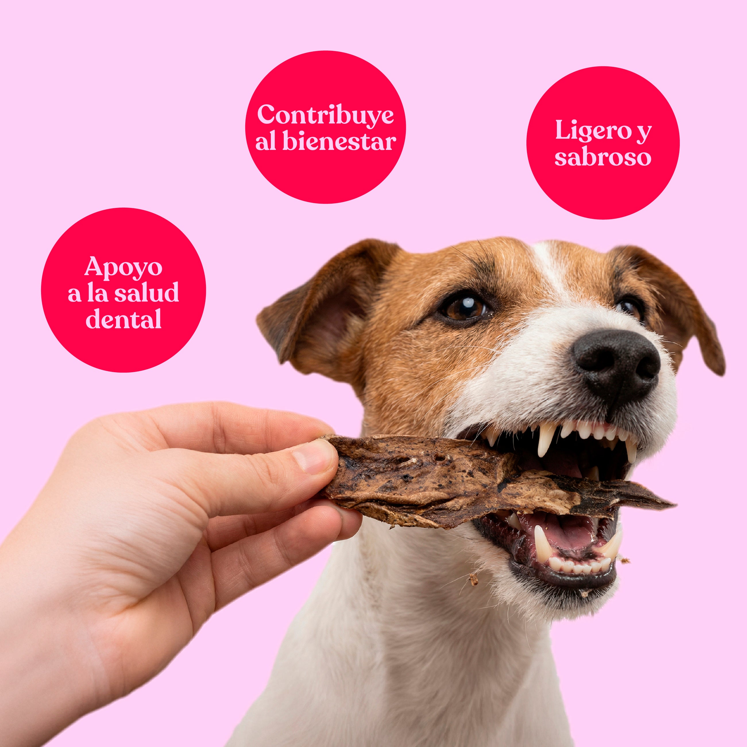 Pulmones de cordero