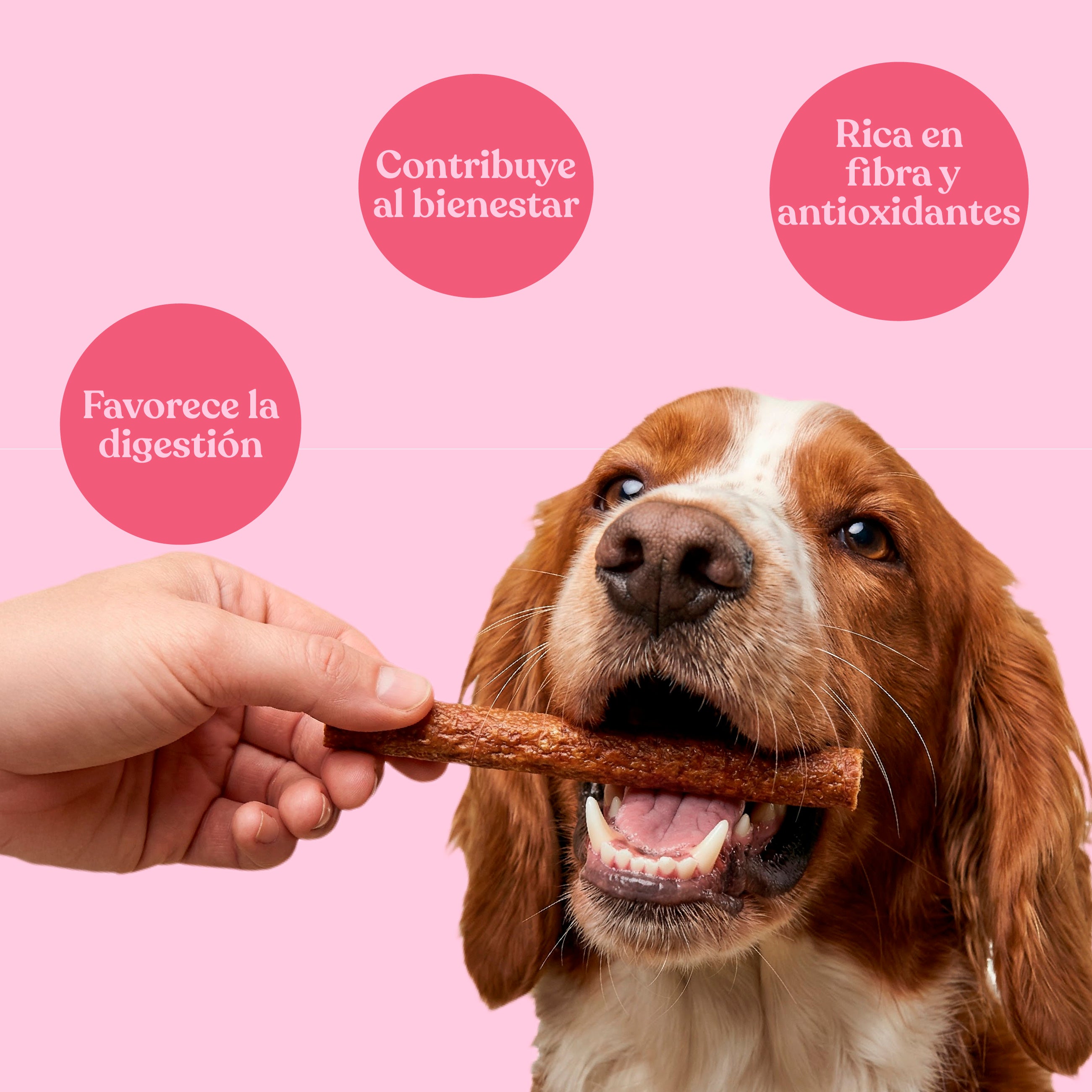 Salchichas de cerdo con manzana