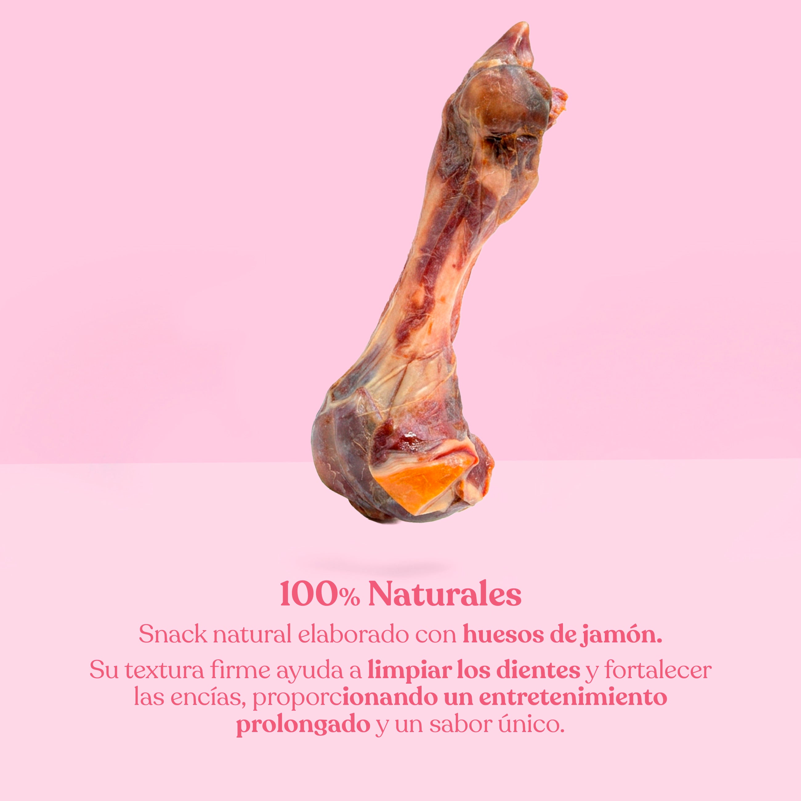 Hueso de jamón