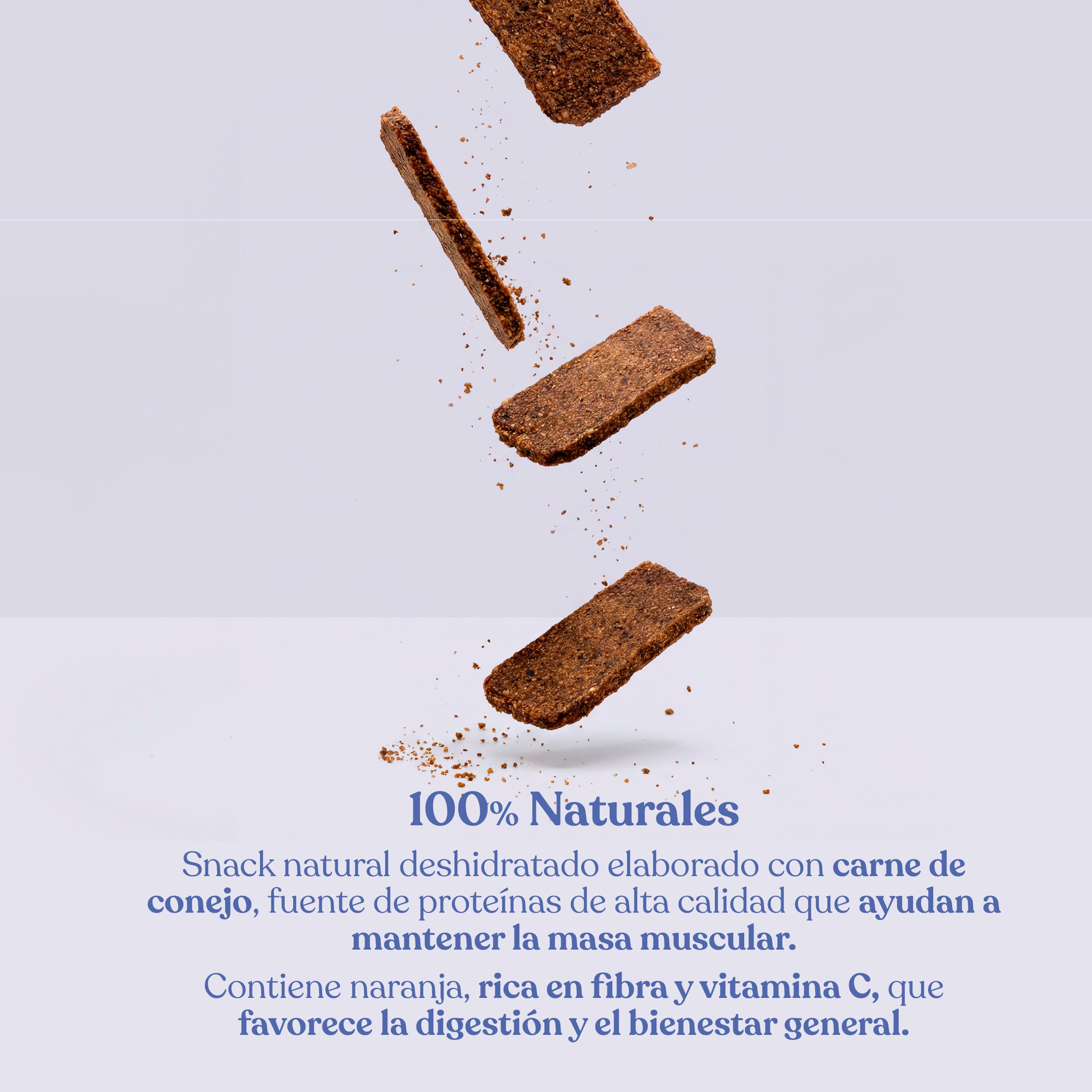 Filetes de conejo con naranja