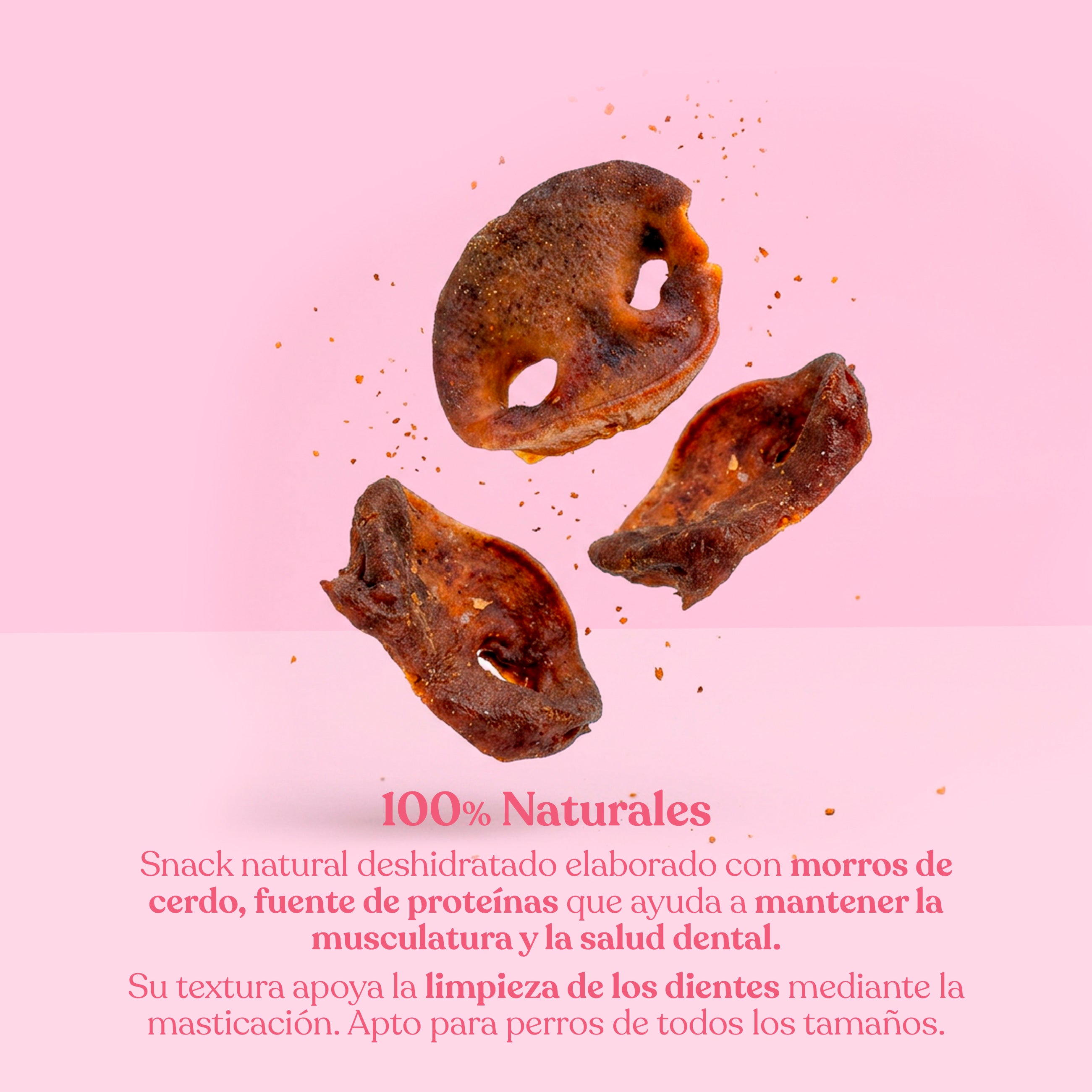 Morros de cerdo