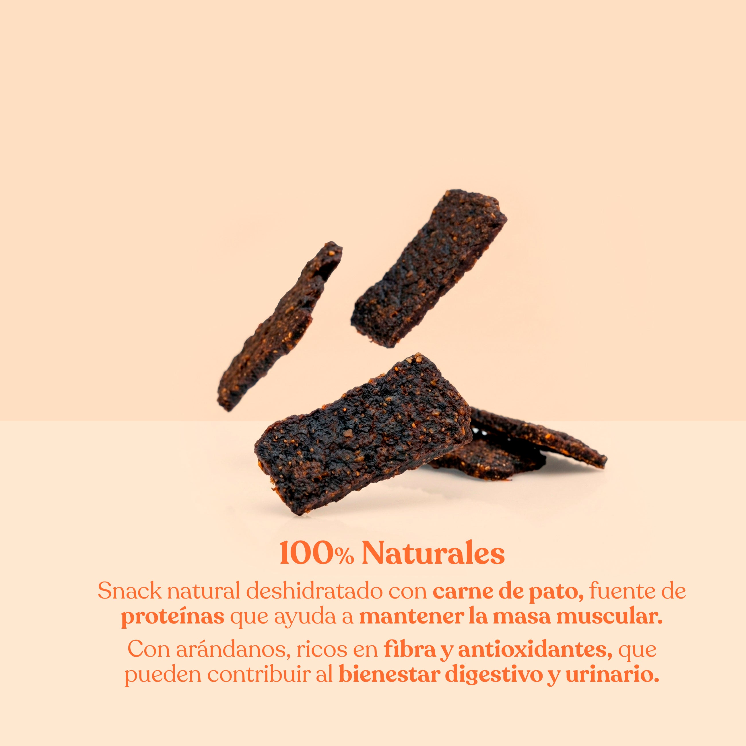 Filetes de pato con arándanos