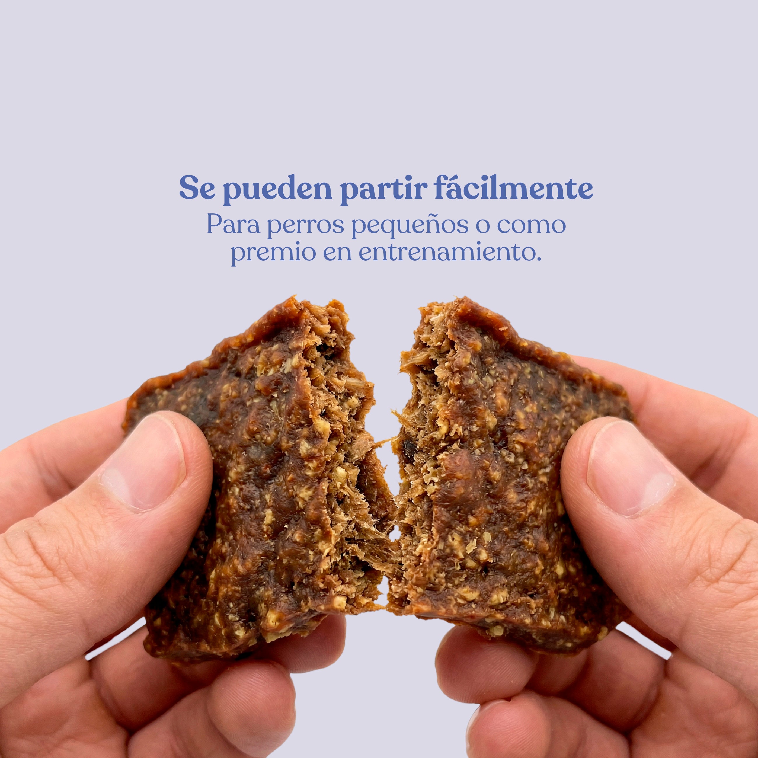 Filetes de conejo con naranja