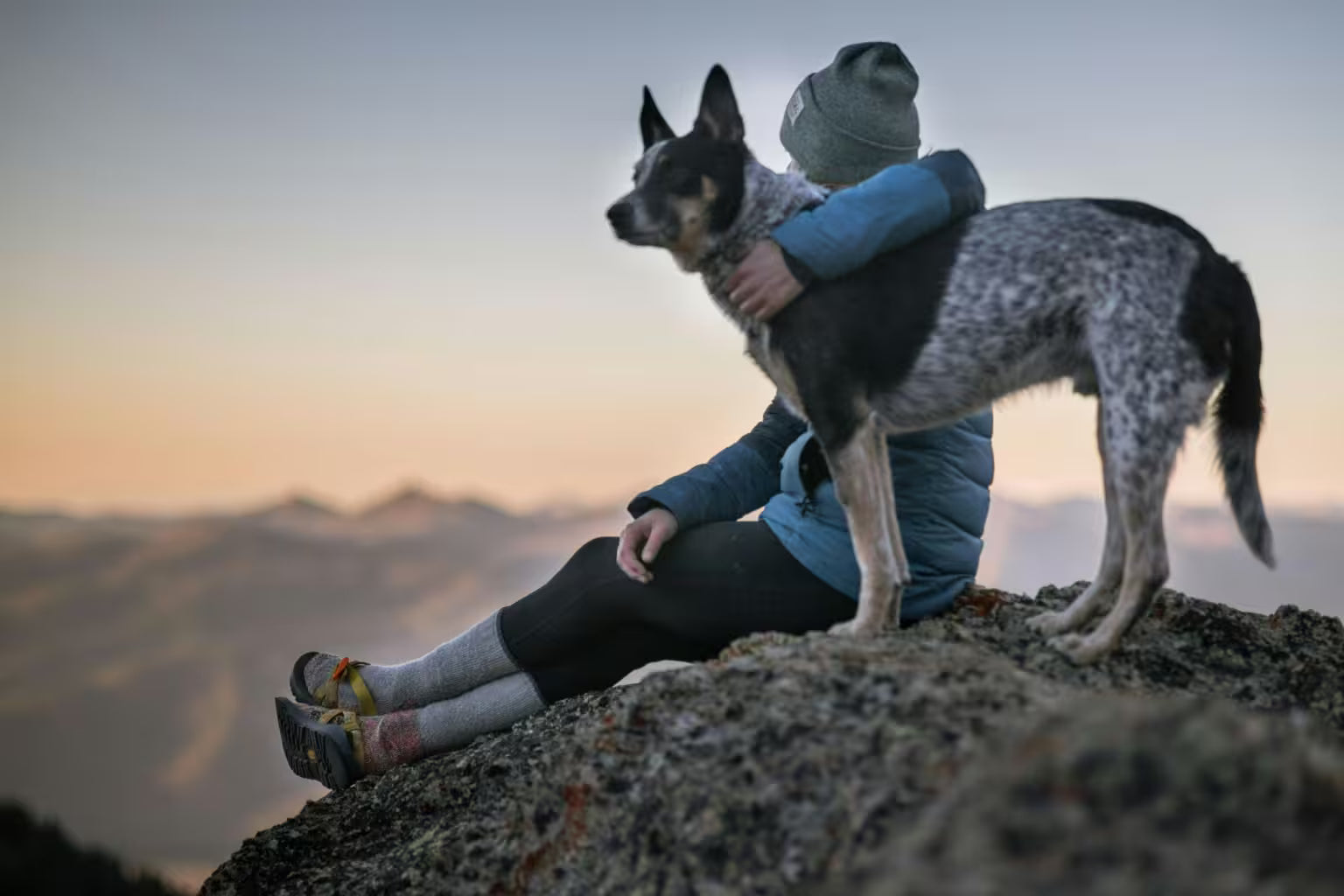 dr.bimix - Snacks naturales y suplementos funcionales para perros